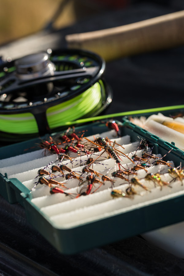 Flies for Argentina