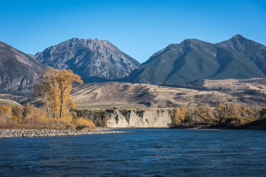 Yellowstone River fly fishing trips fall