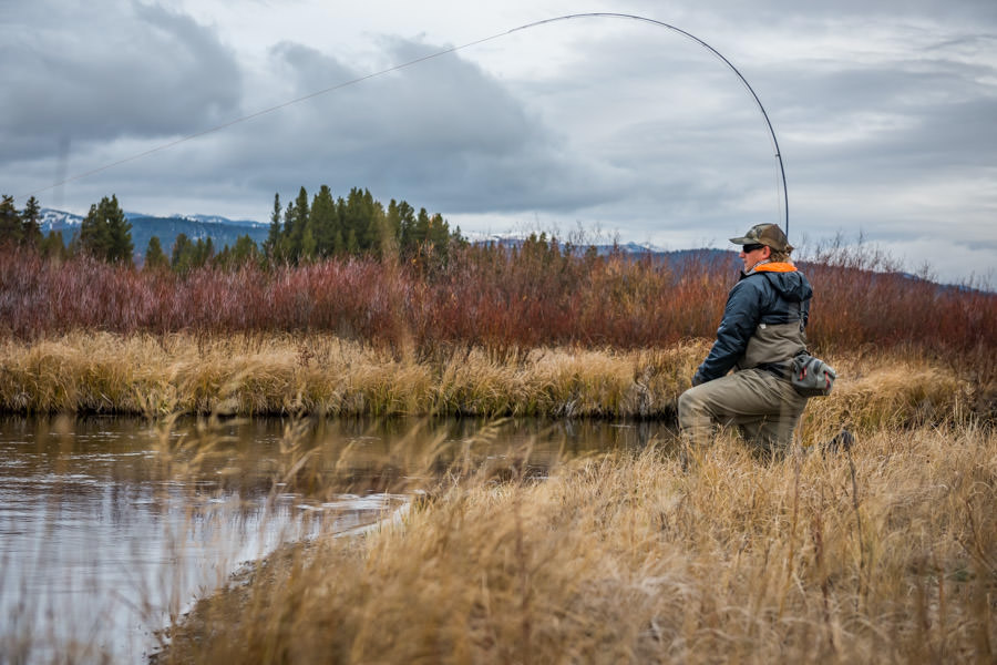 Montana fly fishing trip reports